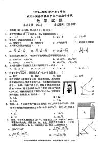 湖北省武汉市武汉外国语学校2023-2024学年八年级下学期期中数学试卷