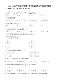 安徽省合肥市智育联盟2023-2024学年七年级下学期期中数学试题（原卷版+解析版）