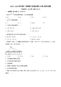 福建省龙岩市长汀县2023-2024学年八年级下学期期中数学试题（原卷版+解析版）