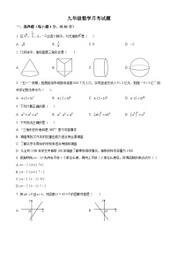 湖北省襄阳市枣阳市吴店镇第二中学2023-2024学年九年级下学期期中数学试题（原卷版+解析版）