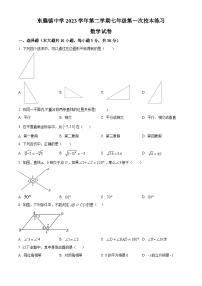 浙江省台州市临海市东塍镇中学2023-2024学年七年级下学期4月期中数学试题（原卷版+解析版）