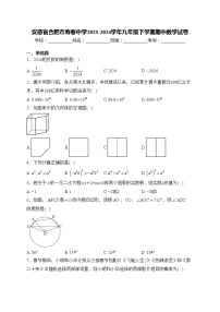 安徽省合肥市寿春中学2023-2024学年九年级下学期期中数学试卷(含答案)