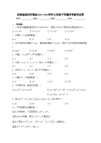 安徽省宿州市萧县2023-2024学年七年级下学期月考数学试卷(含答案)