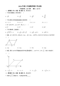 江西省赣州市会昌县2023-2024学年八年级下学期期中数学试题（原卷版+解析版）