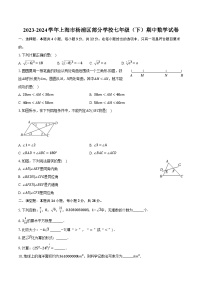 2023-2024学年上海市杨浦区部分学校七年级（下）期中数学试卷（含解析）