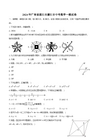 2024年广东省湛江市廉江市中考数学一模试卷（含解析）