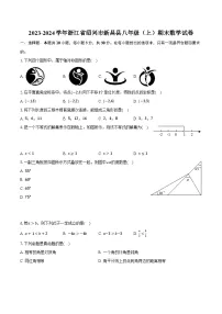 2023-2024学年浙江省绍兴市新昌县八年级（上）期末数学试卷（含解析）