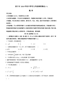 2024 年青海省西宁市初中学考九年级调研测试(一模)数学试题（原卷版+解析版）