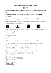 2024年甘肃省陇南市武都区九年级联考中考一模数学试题（原卷版+解析版）