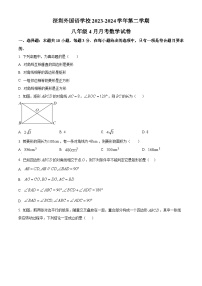 广东省深圳市外国语学校2023-2024学年八年级下学月考数学试题（原卷版+解析版）