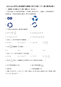 山东省枣庄市滕州市龙泉街道滕东中学2023-2024学年八年级下学期期中数学试题（原卷版+解析版）