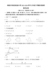 江苏省南通市田家炳初级中学2023-2024学年九年级下学期第一次月考数学试题（原卷版+解析版）