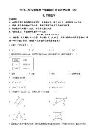 山西省介休市2023-2024学年七年级下学期期中数学试题（原卷版+解析版）