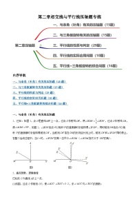 第二章 相交线与平行线（5个类型85题）-【常考压轴题】2023-2024学年七年级数学下册压轴题攻略（北师大版）