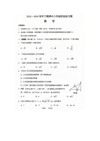 河南省周口市西华县2023-2024学年八年级下学期4月期中数学试题