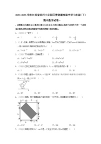 江苏省苏州工业园区青剑湖实验中学2022-2023学年七年级下学期期中数学试卷