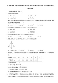 山东省济南市市中区育秀中学2023-2024学年七年级下学期期中考试数学试卷