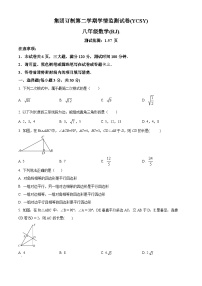 河南省商丘市永城市实验中学2023-2024学年八年级下学期4月期中数学试题（原卷版+解析版）