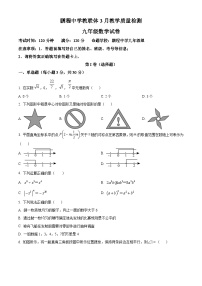 湖北省黄石市鹏中教联体2023-2024学年九年级下学期月考数学试题（原卷版+解析版）