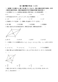 江苏省南通市通州湾实验中学（田家炳中学通州湾分校）2023-2024学年八年级下学期月考数学试题（田家炳中学通州湾分校+田家炳中学通州湾分校）