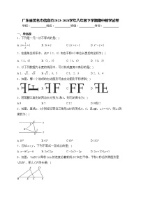 广东省茂名市信宜市2023-2024学年八年级下学期期中数学试卷(含答案)