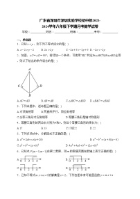 广东省深圳市深圳实验学校初中部2023-2024学年八年级下学期月考数学试卷(含答案)