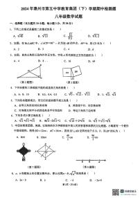 广东省惠州市第五中学教育集团2023-2024学年八年级下学期期中检测题数学试题