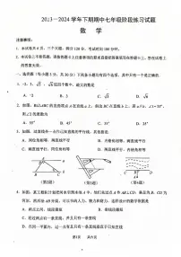 河南省周口市西华县2023-2024学年七年级下学期4月期中数学试题