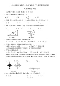 广东省惠州市第五中学教育集团2023-2024学年八年级下学期期中检测题数学试题