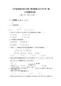 2024年江苏省盐城市东台市第二教育联盟中考模拟考试一模数学试题