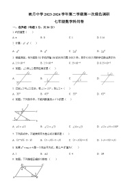 广东省佛山市南海区桂城街道映月中学2023-2024学年七年级下学期月考数学试题（原卷版+解析版）