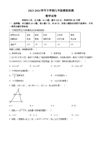 广东省佛山市南海外国语学校2023-2024学年九年级下学期月考数学试题（原卷版+解析版）