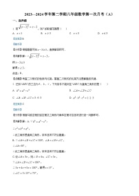 广东省江门市新会区尚雅学校2023-2024学年八年级下学期月考数学试题A卷（原卷版+解析版）