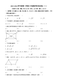 广东省湛江经济技术开发区实验学校2023-2024学年八年级下学期期中数学试题（原卷版+解析版）