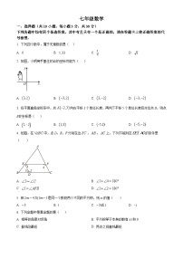 湖北省武汉市江岸区2023-2024学年七年级下学期期中数学试题（原卷版+解析版）