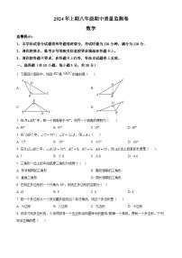 湖南省怀化市新晃侗族自治县2023-2024学年八年级下学期期中数学试题（原卷版+解析版）