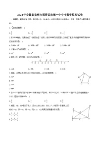 2024年安徽省宿州市埇桥区宿城一中中考数学模拟试卷(含解析）