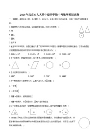2024年北京市人大附中经开学校中考数学模拟试卷(含解析）
