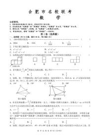 2024年安徽省合肥市名校联考中考模拟 数学试题（含答案）