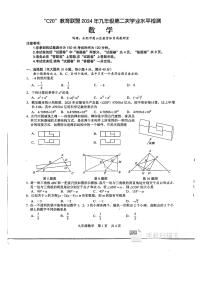 2024年安徽省教育联盟中考二模数学试题（含答案）