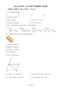 湖北武汉江夏区2023-2024学年七年级下学期月考数学试题（原卷版+解析版）