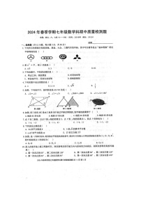 2024年春广西防城港市防城区七年级数学下册期中质量检测题（图片版，含答案）