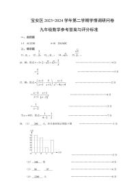 2024宝安区中考二模数学试卷及参考答案评分标准