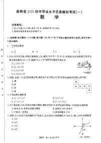 2024年河南省南阳市新野县中考二模数学试题