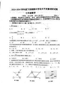 山东省临沂市临沂经济技术开发区2023-2024学年七年级下学期4月期中数学试题