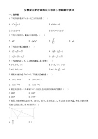 安徽省合肥市瑶海区2021-2022学年八年级下学期数学期中测试(沪科版含答案)