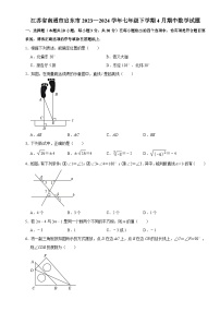 江苏省南通市启东市2023—2024学年七年级下学期4月期中考试数学试题+