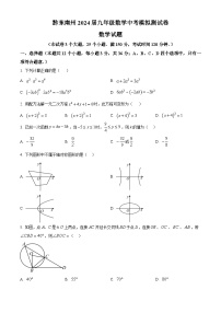 2024年贵州省黔东南州九年级数学中考模拟测试卷（一）（原卷版+解析版）