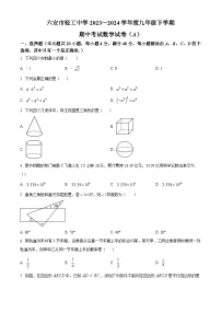 安徽省六安市金安区六安市轻工中学2023-2024学年九年级下学期期中数学试题（原卷版+解析版）