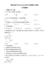 福建省莆田市城厢区莆田文献中学2023-2024学年八年级下学期期中数学试题（原卷版+解析版）